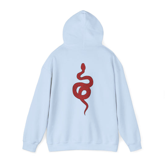 Chaos Unisex Hoodie